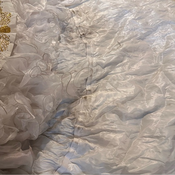 Quinceañera Adán Terriquez Additional Pictures Dress & Train Detail - Picture 8 of 17